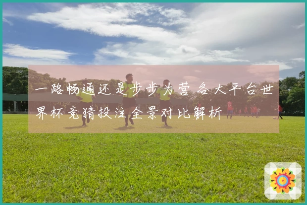 一路畅通还是步步为营 各大平台世界杯竞猜投注全景对比解析