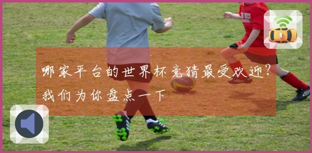 哪家平台的世界杯竞猜最受欢迎？我们为你盘点一下