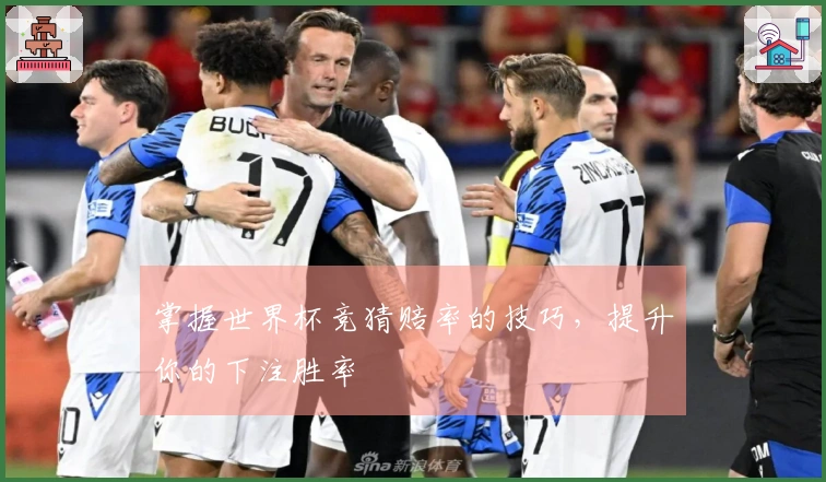 掌握世界杯竞猜赔率的技巧，提升你的下注胜率
