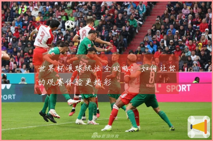 世界杯滚球玩法全攻略：如何让你的观赛体验更精彩